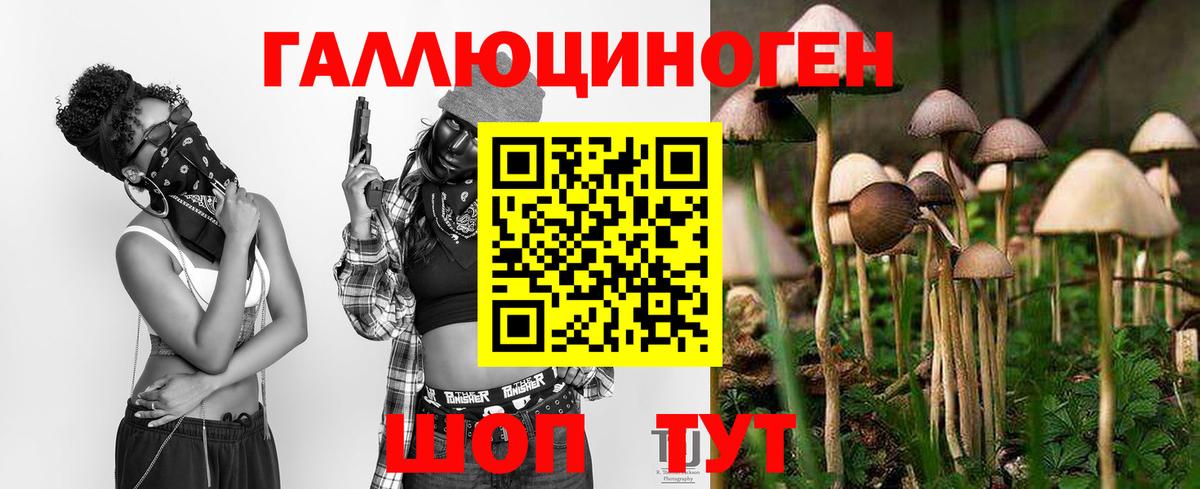 Галлюциногенные грибы GOLDEN TEACHER Комсомольск-на-Амуре
